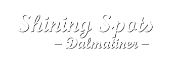 shining-spots-dalmatiner.de